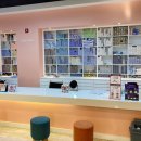 스타일 박스 안경ㆍ콘택트 이미지