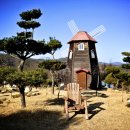 이안숲속야영장 이미지