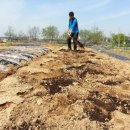 재환농장 이미지