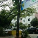 상일로 11길 이미지