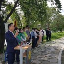 새마을 태양광발전소 이미지