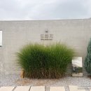 도화지 | 복숭아 향 가득한 감성 카페, 이천 도화지 방문 후기 🍑