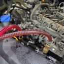 오일전문샵카센터 | 광주카센터 탐방기 스포티지 냉각수 100% 교환 후기 at 케이지모터스 🌿