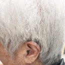 금강디지털보청기 첨단점 | 용인보청기 전문 한미보청기 용인센터, 용인난청 체계적인 상담 후기