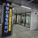 부산 창원 프리다이빙 체험 강습 추천 화이트프리다이빙 후기