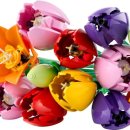 보태니컬 이미지