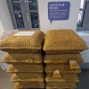 스토리짐(521)(스크린) 이미지