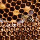 한라슈퍼 이미지