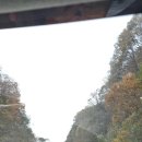 명가닭오리전문 | 명가 닭오리 전문집에서 점심먹고 휴식