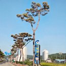 오성시스템 | 전북 고창 오성장어 방문 후기 가족 외식으로 좋은 장어 맛집