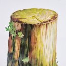 수채화로 감성 표현하기 이미지