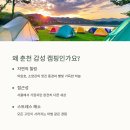 재즈로 푸른 밤 저 별아래 vol.1 | 숨겨진 보석같은 춘천 감성 캠핑장 추천! 💜 (장비 없어도 OK)