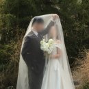 초록정원 | [어뮤즈하우스] 야외 초록 배경 정원씬 촬영 후기