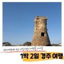 금성약국 | 경주여행 일정짜기 : 숙소, 맛집, 이색장소 추천 [미피하우스, 황남비빔밥, 금성일기] -초등학생 추천 픽