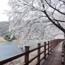 성주호 둘레길 독용산성길 코스 이미지