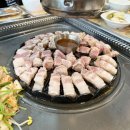오돌농장