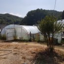 주봉마을우렁촌 이미지