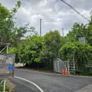 부곡허브농원 아로마빌리지 | 너무 이뻐 동화같은 창녕 부곡 허브농원 캠핑장