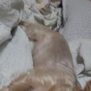 살랑살랑 이미지