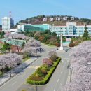 신성대학교 이미지