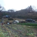 야산농장 이미지