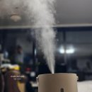 상구전자 | 대용량 가습기 추천 UV 살균, 가열 복합식 케리프 10L 이지핸들 MAX