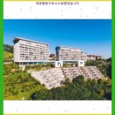 소장각! 정선 하이원리조트 마운틴콘도힐콘도밸리콘도컨벤션타워팰리스호텔 룸온리객실 1박 상품