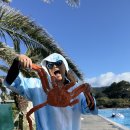 삼화수산 이미지