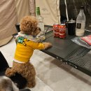 부귀농원 가족캠프 캠핑장 | [대전근교애견동반캠핑장]부귀농원가족캠프 R사이트-5 천변뷰맛집 [지붕있음]