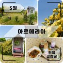 아르메리아