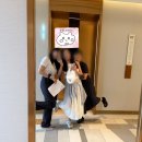 봄나루호텔 | 서울 호텔 나루 수영장 - 여의도 한강뷰 수영장 이용 후기 [2025 원정수영 모음집 2탄]