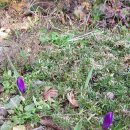 학의농장 이미지