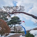 그림같은수목원 티스토리