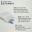 경추베개 &#39;씨가드 닥터필로DNA&#39; 일주일 사용 후기