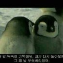 복터진 강아지 이미지