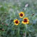 호수공원 2주차장옆 이미지