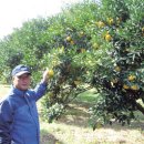 크로바 농원 이미지