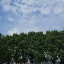 잉카마야박물관캠핑장 이미지