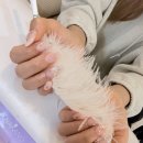 뷰티네일미