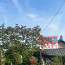 울산보리밥 이미지