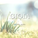 효성 | [종로 가성비 예물반지2] 내돈내산_수령후기, 효성주얼리시티 조이아주얼리