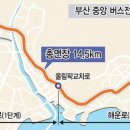 버스 중앙차로제 부산시, 내년 본격 추진 이미지