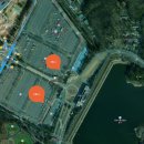 대공원광장대로 | 과천 서울대공원 동물원 아이도 어른도 감탄했던 방문 후기