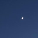 울엄니칼국수 이미지