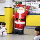 용인대 화랑 태권도 이미지