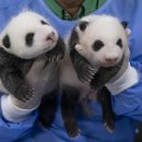 공장랜드공인중개사사무소 이미지