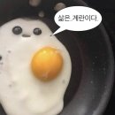 파인팜(주) | K직장인의 8월 셋째주 일상