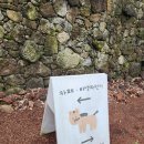 밭디이색자전거 | [갈곳] 승마를 오래하고 싶다면 제주 밭디 30개월이상 혼자 승마가능 이색자전거체험