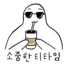 내노키카페