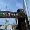 [국도29] 서산시 독곶리